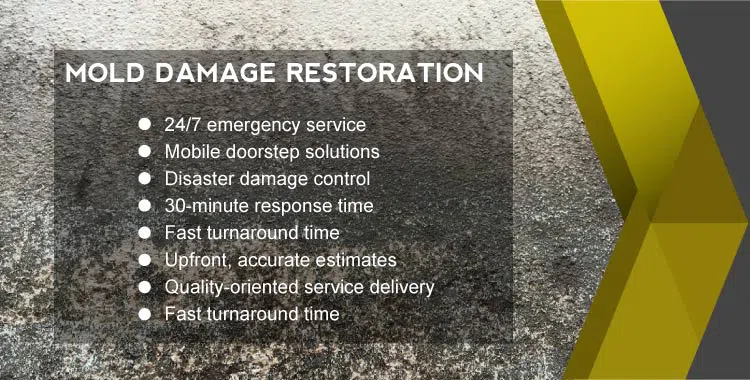 #bslide2 logo-image - banner-02